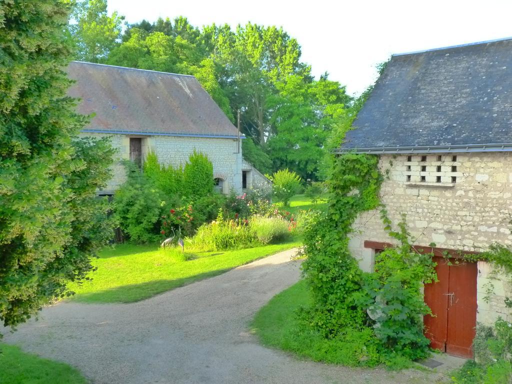 La Cle Des Jardins Bed & Breakfast Nouâtre Exterior foto